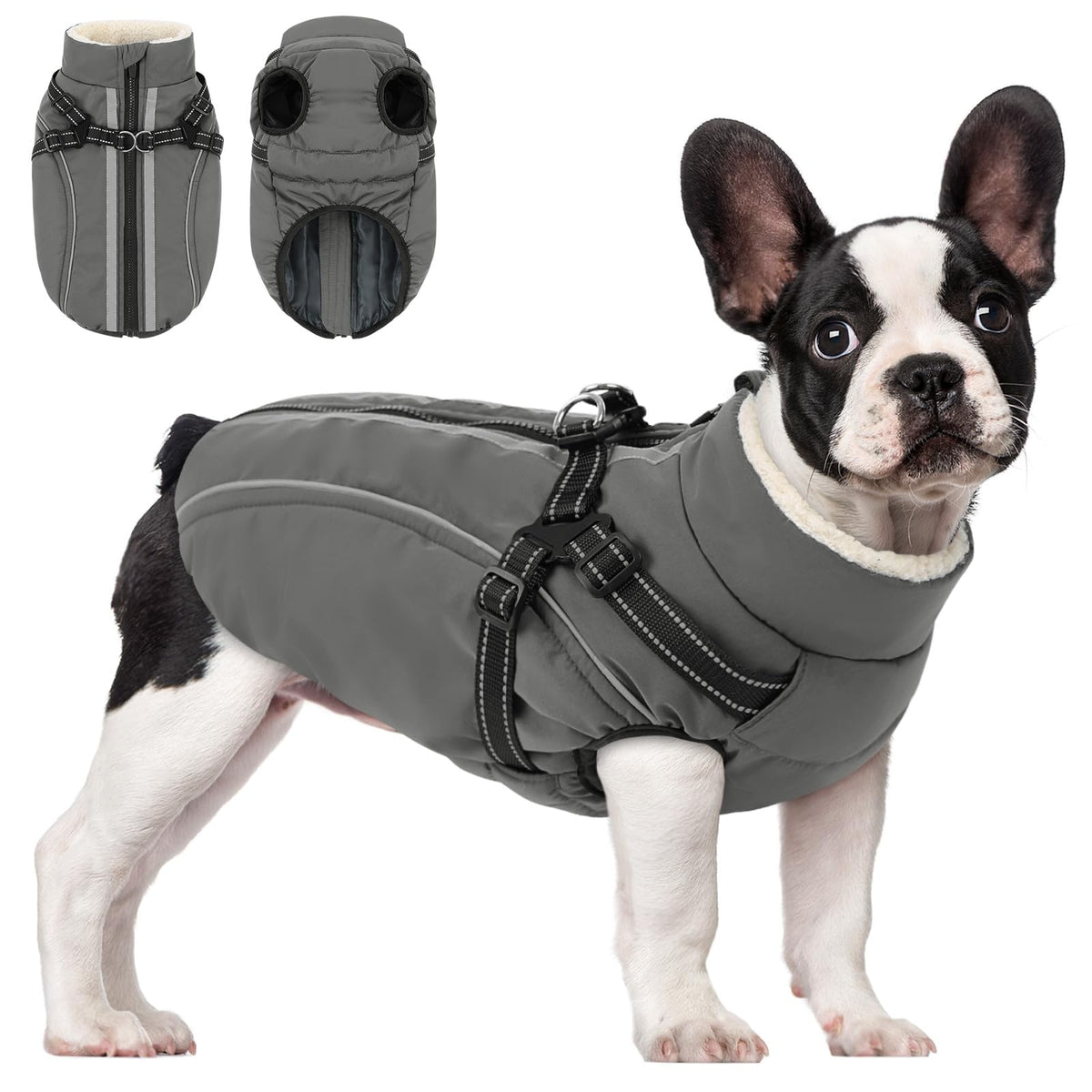 KAMA BRIDAL dog winter coat harness front view for secure leash attachment.