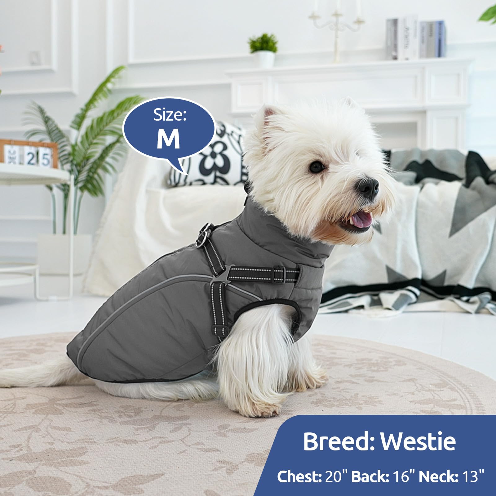 KAMA BRIDAL dog coat suitable for indoor and outdoor activities