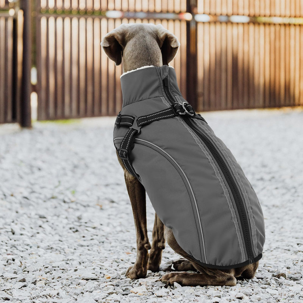 KAMA BRIDAL size chart for XS to 3XL dog coats
