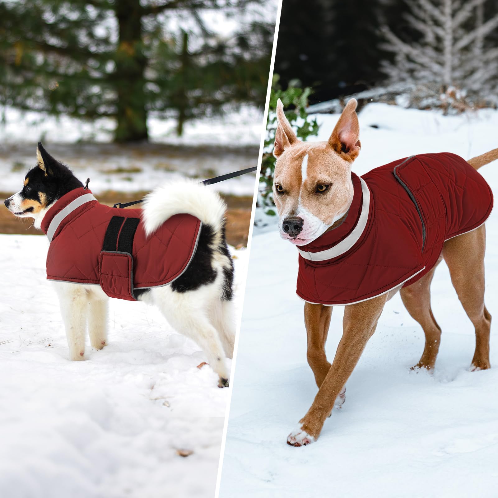KAMA BRIDAL holiday-ready red coat shown for festive photos.