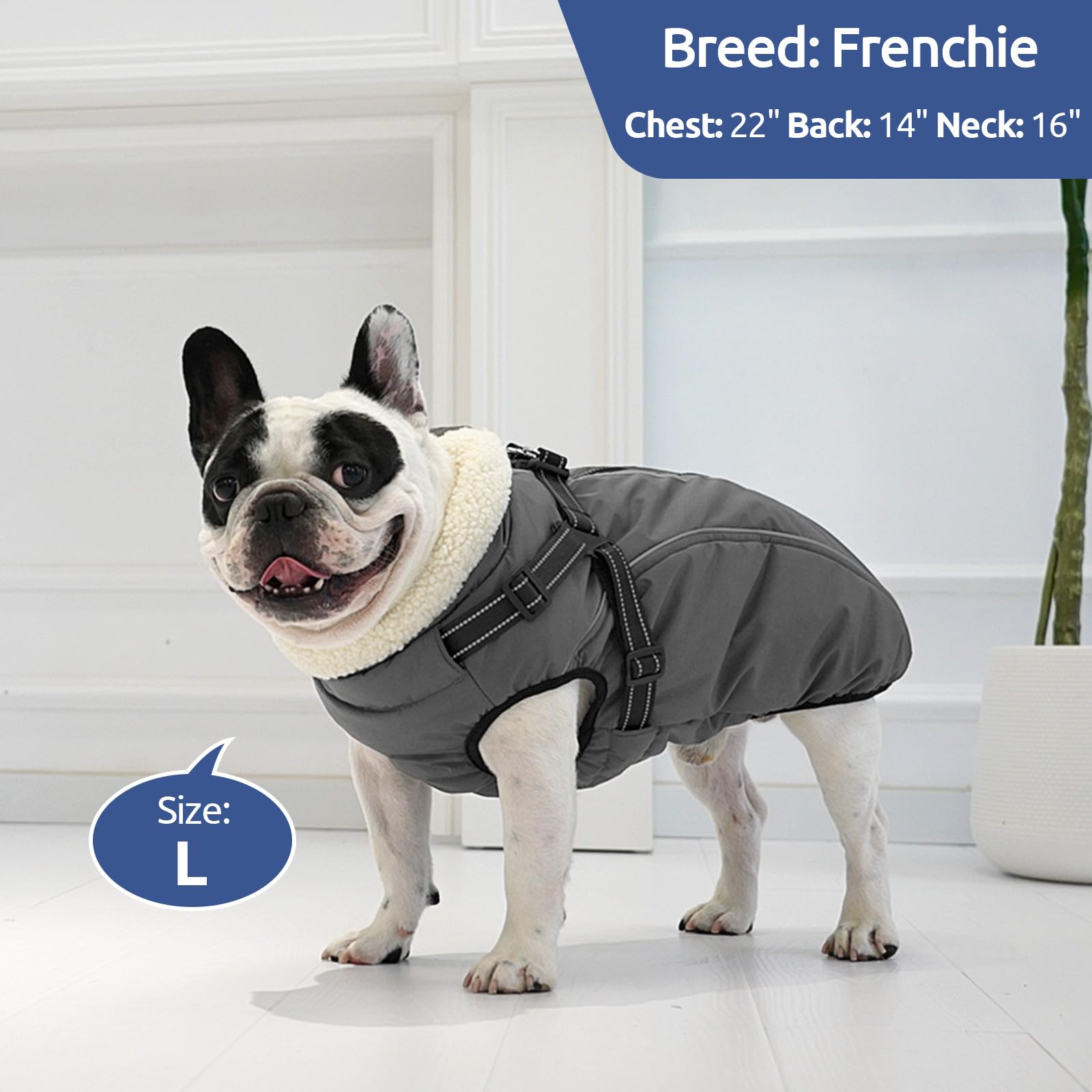 KAMA BRIDAL dog winter coat waterproof windproof demonstration image.