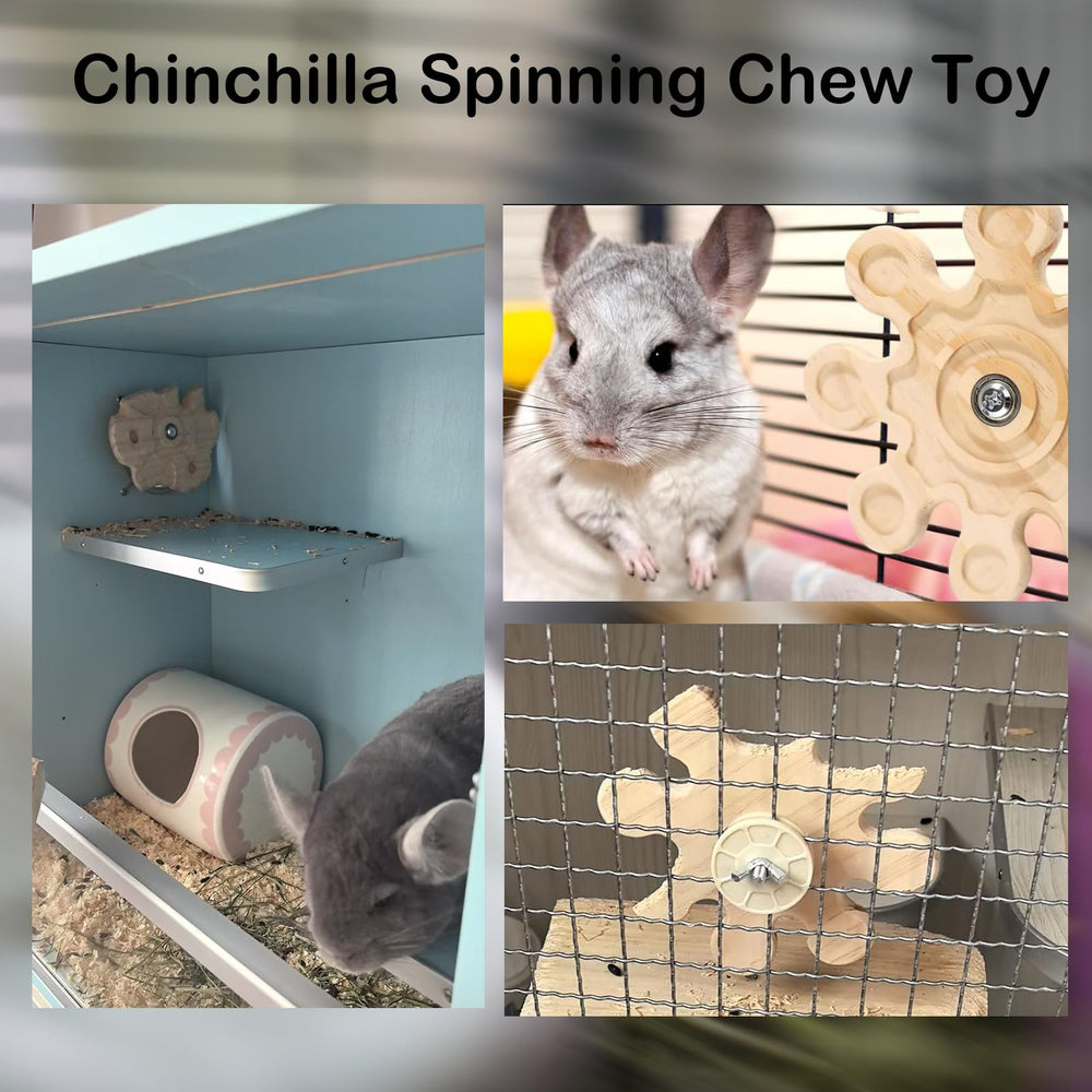 KAMIXICD-chinchilla-playtime-toy-dental-health shows bonding and enrichment during cage time.