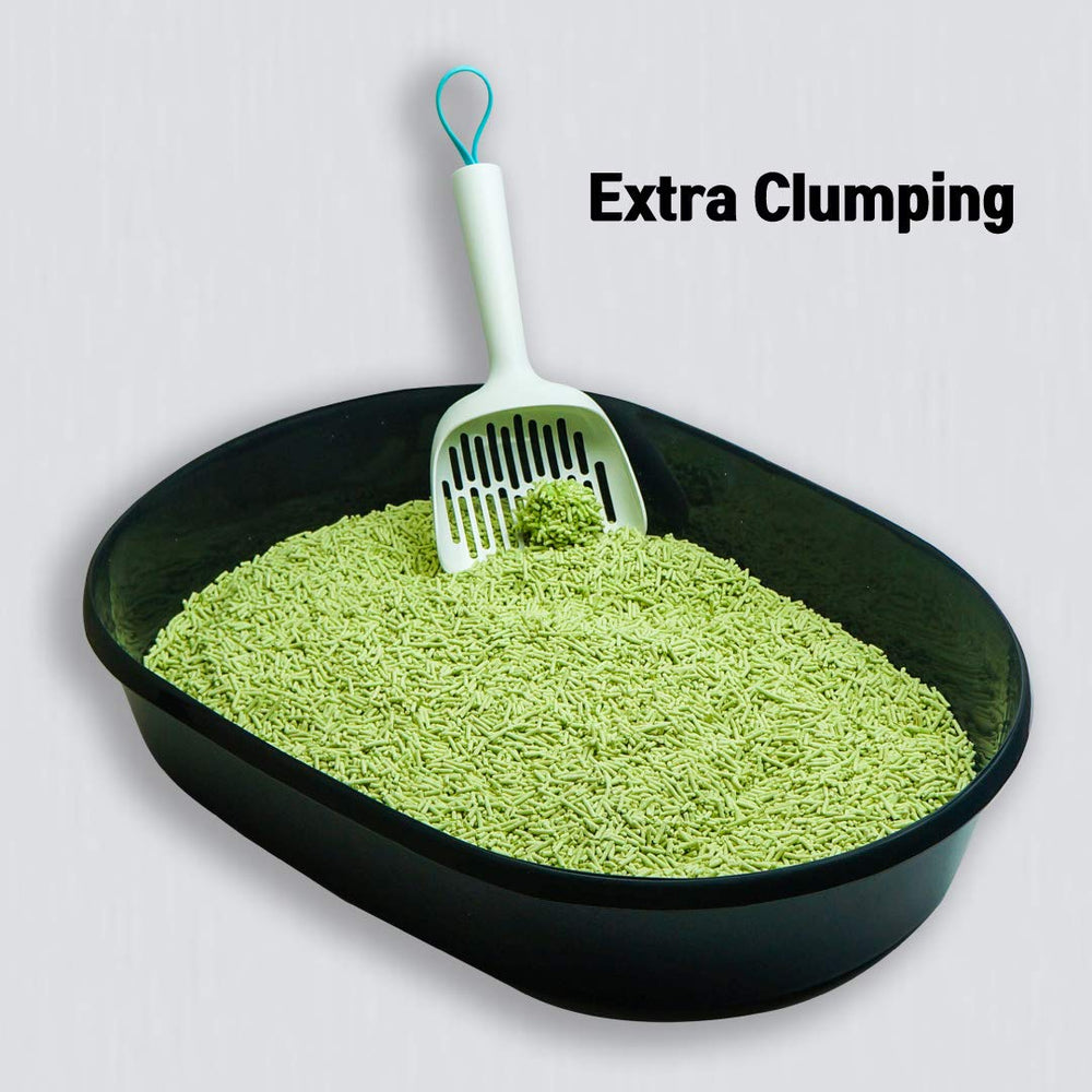 Kamys Zoo I AM TOFU absorption test illustrating high absorption.