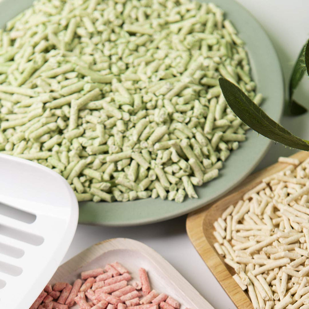 Kamys Zoo I AM TOFU dust-free close-up highlights minimal tracking.