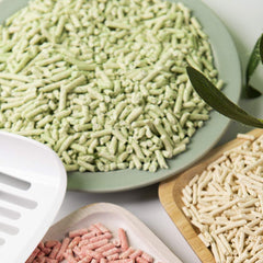 Kamys Zoo I AM TOFU dust-free close-up highlights minimal tracking.