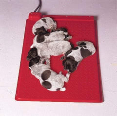 KANE Electric Pet Heat Mat in a reptile habitat maintains consistent warmth