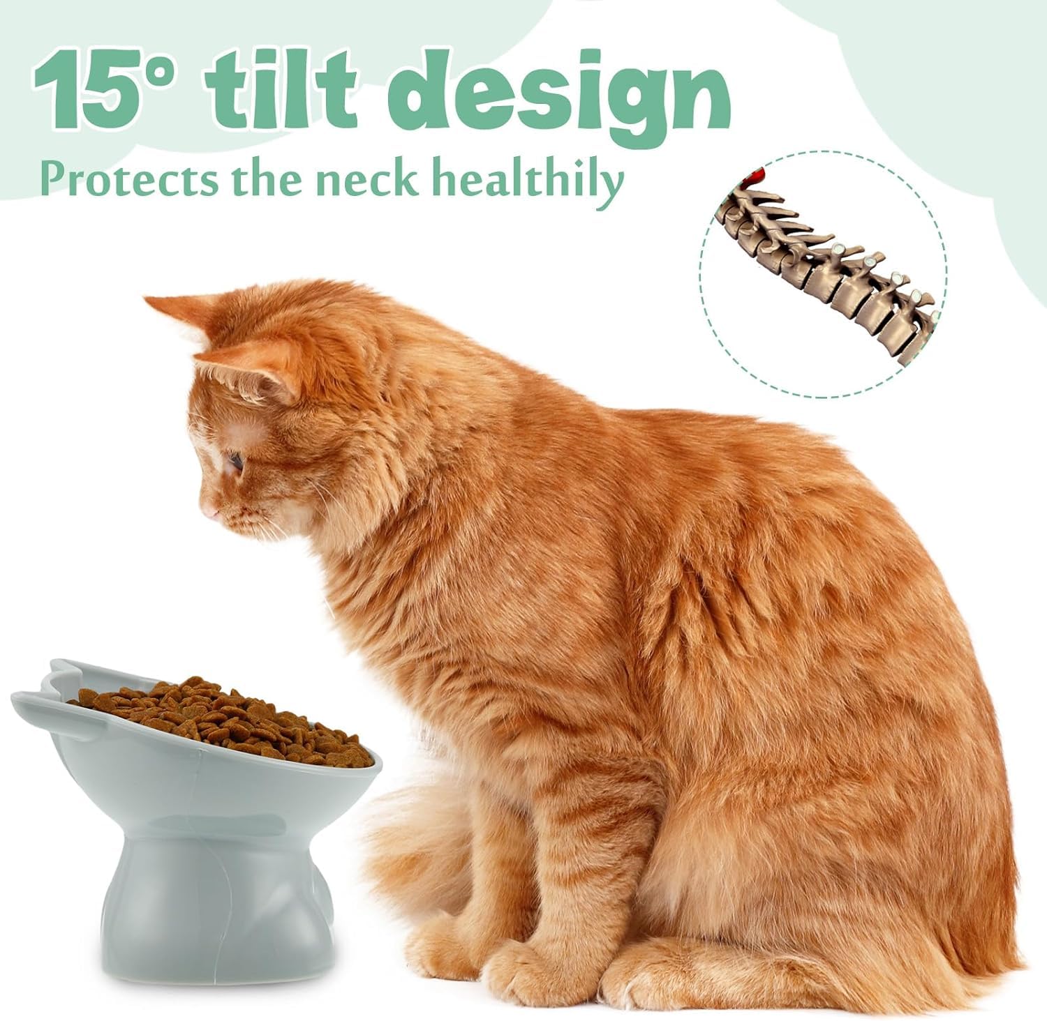 Kangnuoxue cat bowls set displayed as decorative gift for pet lovers