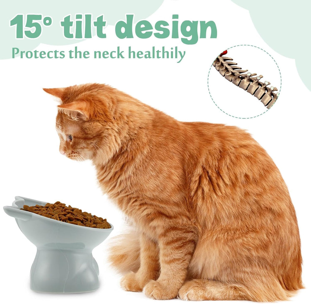 Kangnuoxue cat bowls set displayed as decorative gift for pet lovers