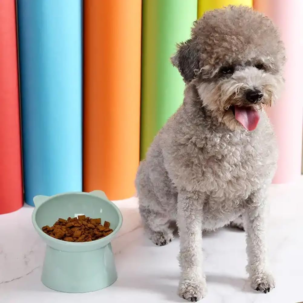 Kangnuoxue elevated cat bowls with removable base, customizable height feature