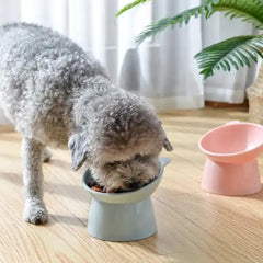Kangnuoxue elevated cat bowls with white stand, front view for tidy feeding setup