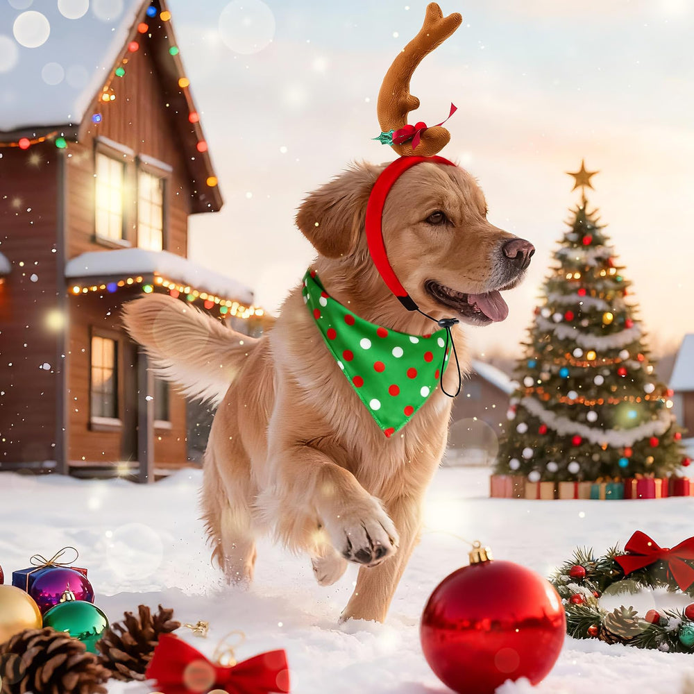 Kanmeii three-piece Christmas outfit on a dog for holiday looks.