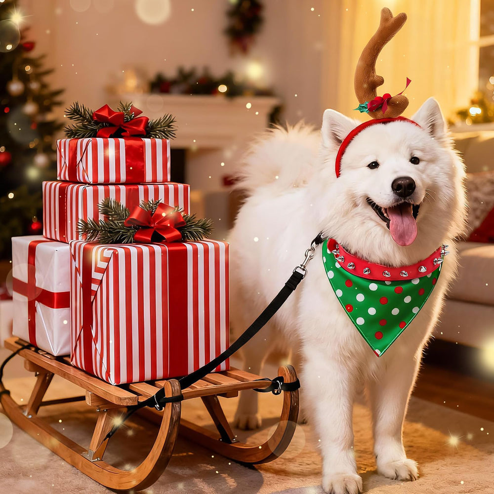 Kanmeii reusable Christmas costume for holidays and events.