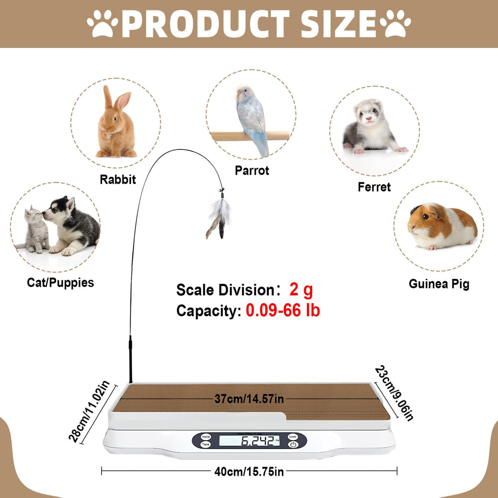 Kanmeii pet scale showing hold/tare function for accurate readings
