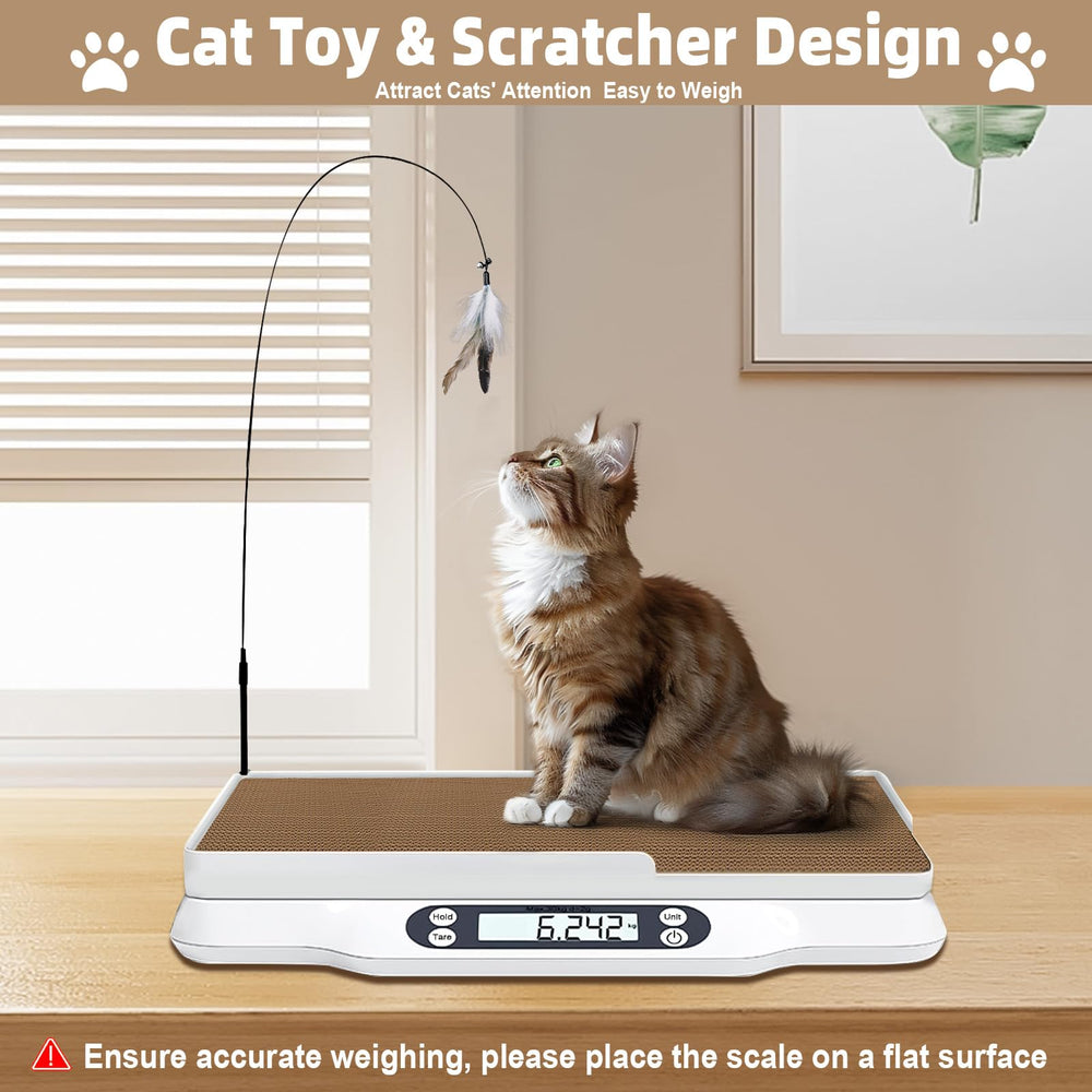 Kanmeii scale includes cat scratching board and teaser for engagement