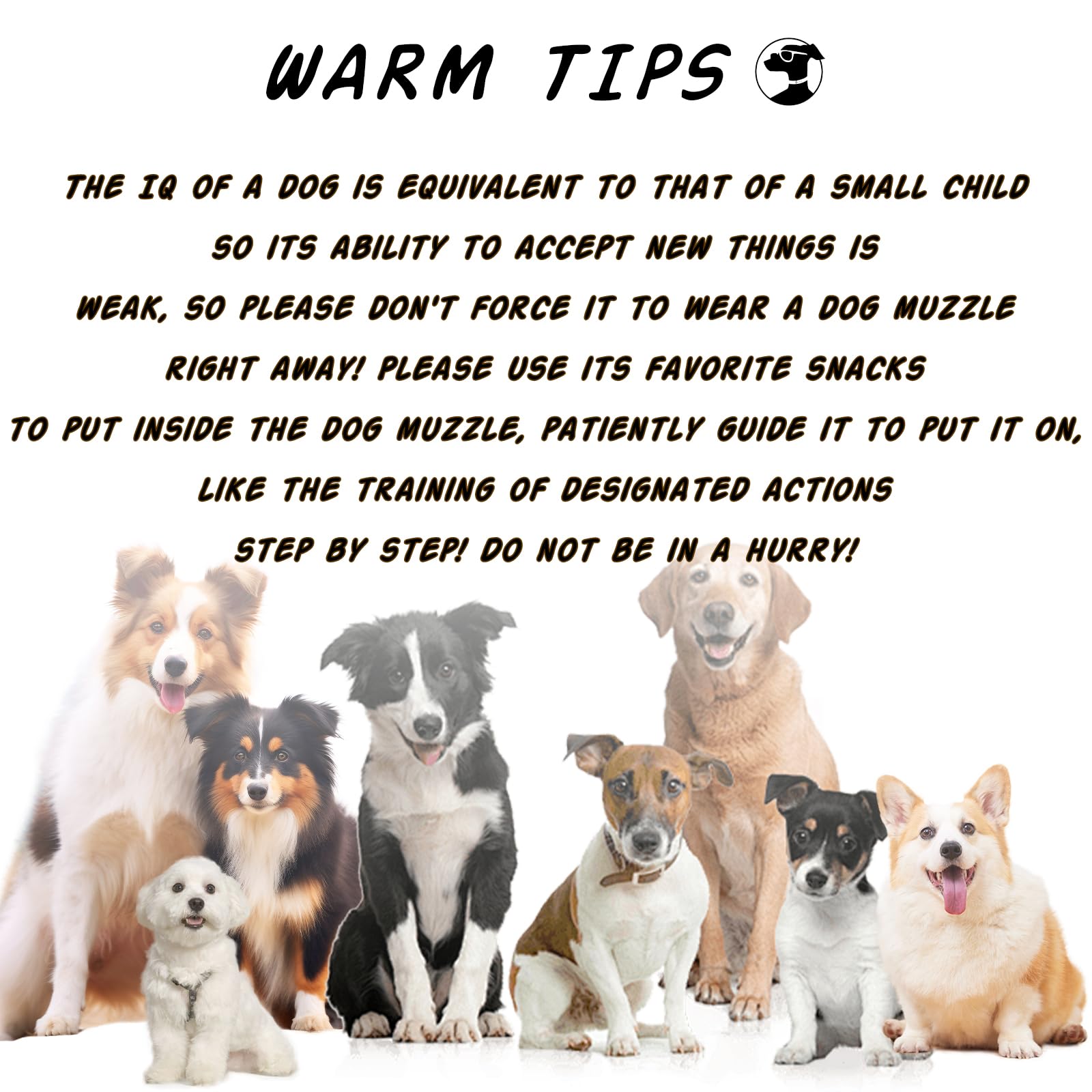 Kanuoc dog muzzle size S demonstrates compact fit for small dogs
