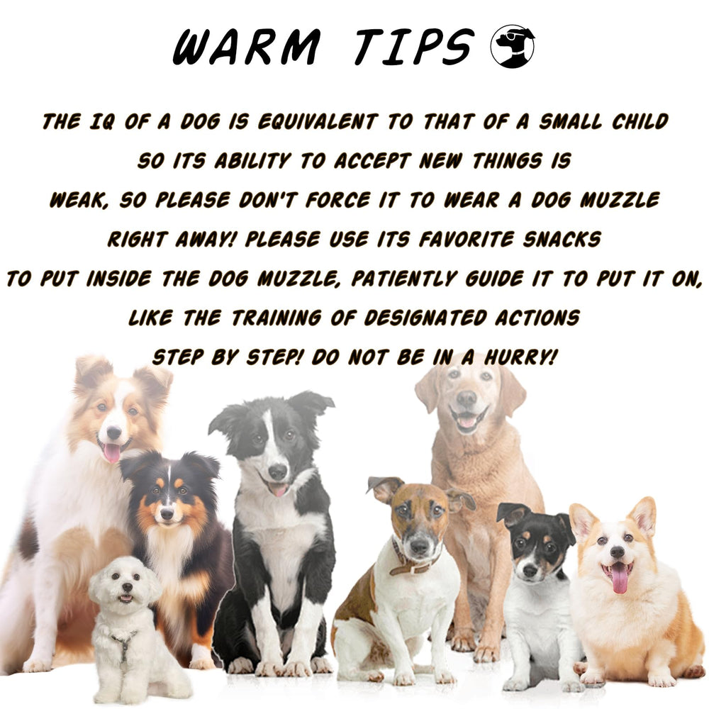 Kanuoc dog muzzle size S demonstrates compact fit for small dogs