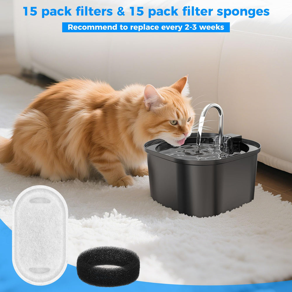 Kapawze stainless steel cat fountain showing easy cleaning and hydration support