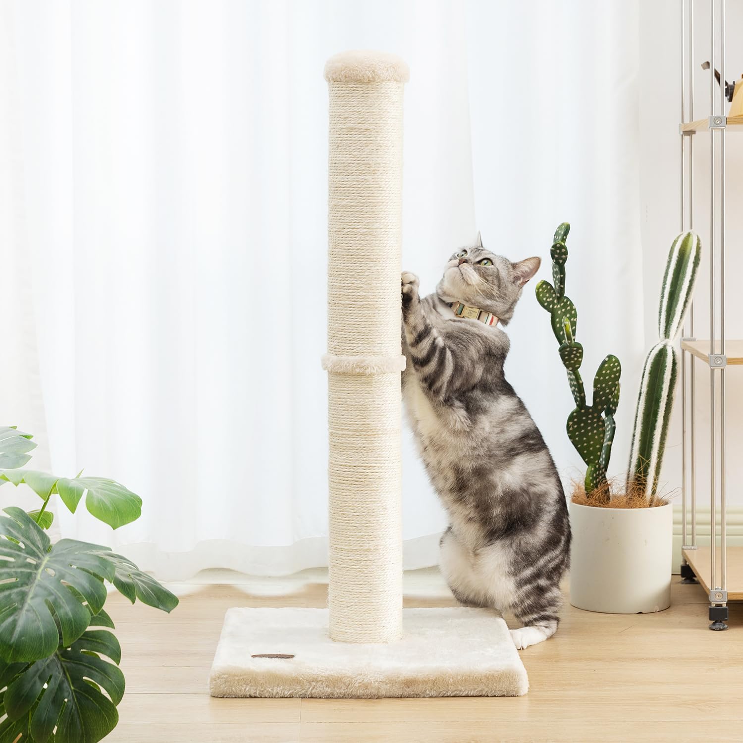 Karolpar 34inch cat scratching post easy assembly saves setup time