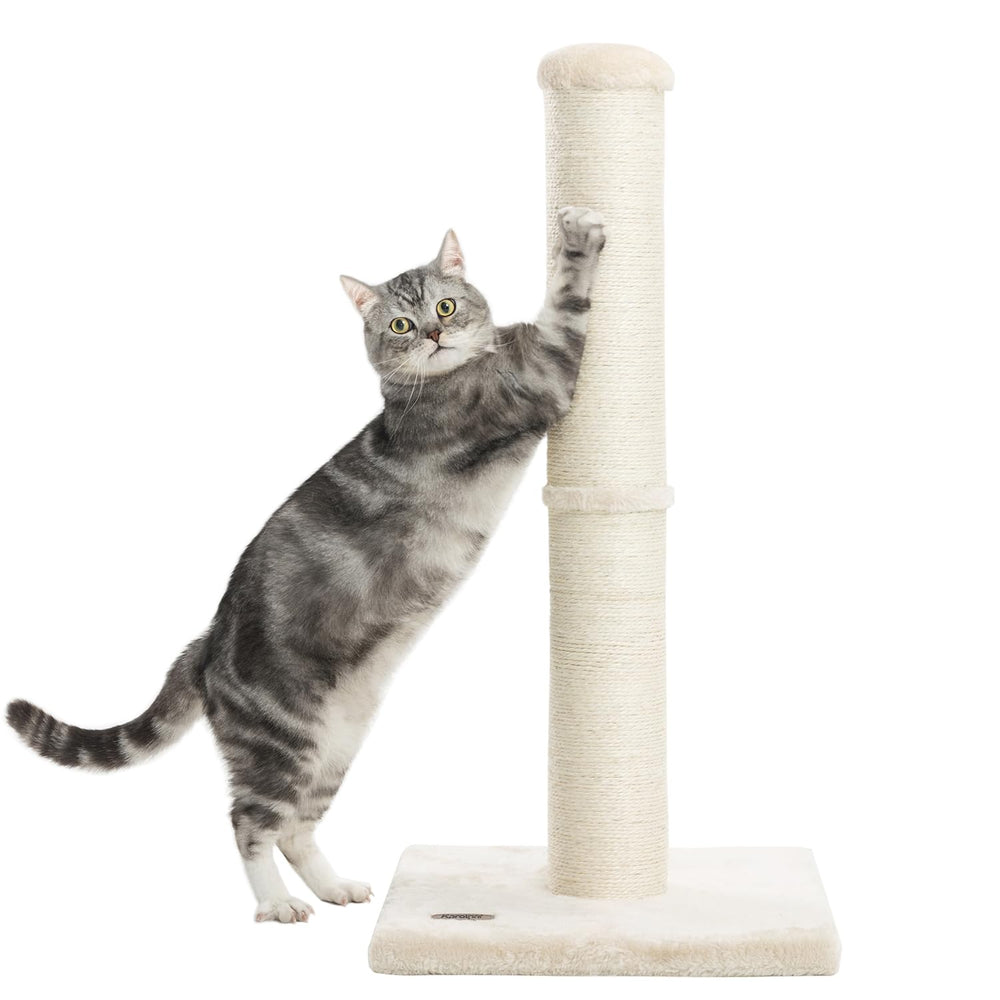 Karolpar 34inch cat scratching post in use demonstrates practical indoor engagement