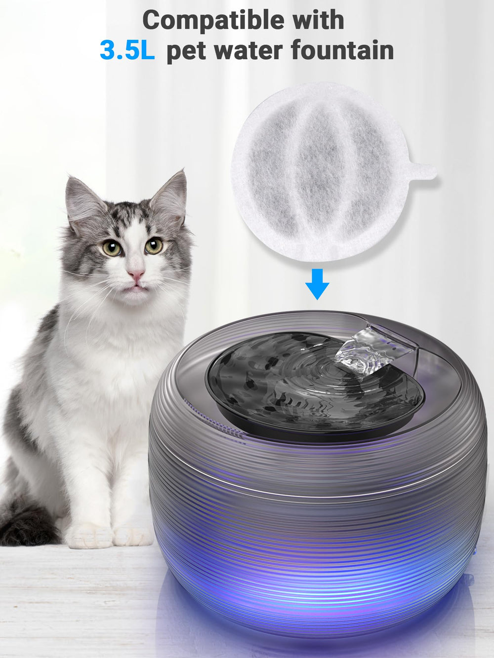 Kastty cat feeder compatibility filter fits B0DDPKC7YM with Kastty feeders