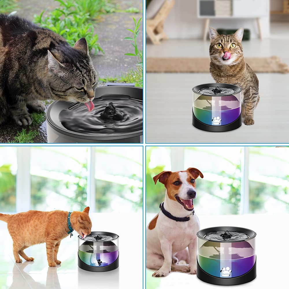 Kastty cat water fountain indoor use suits homes and apartments.