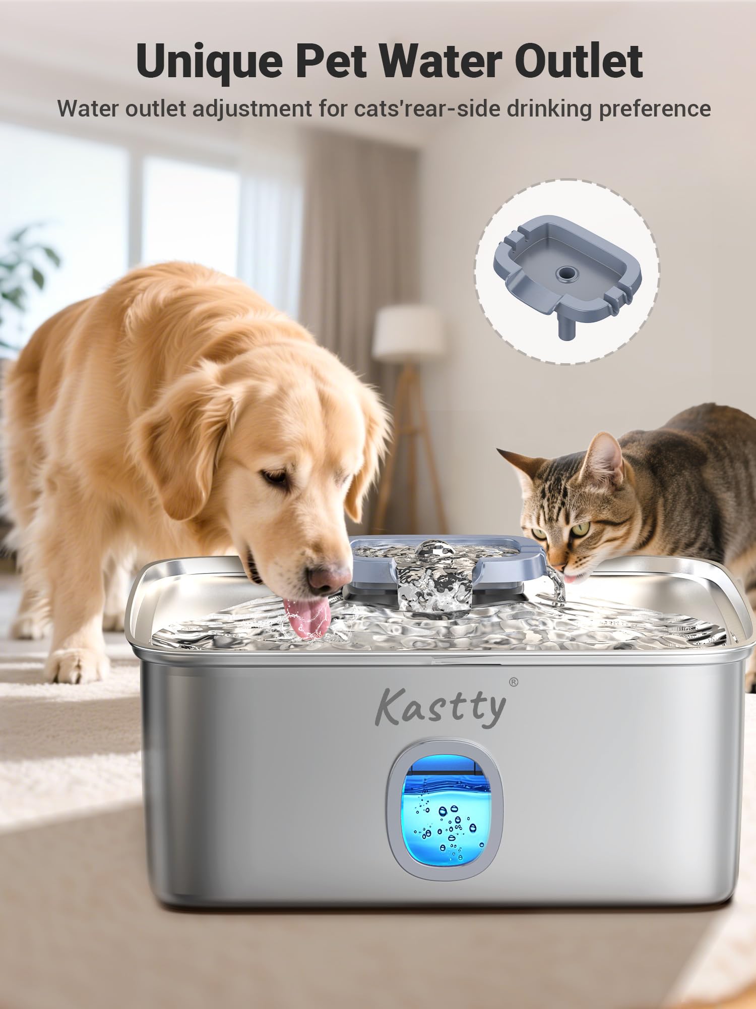 Kastty dog drinking at fountain captures real-life hydration moment