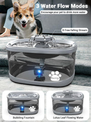 Kastty smart pump runs quietly, reducing noise during pet hydration.