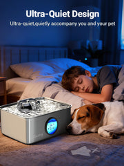 Kastty LED light helps pets locate water at night