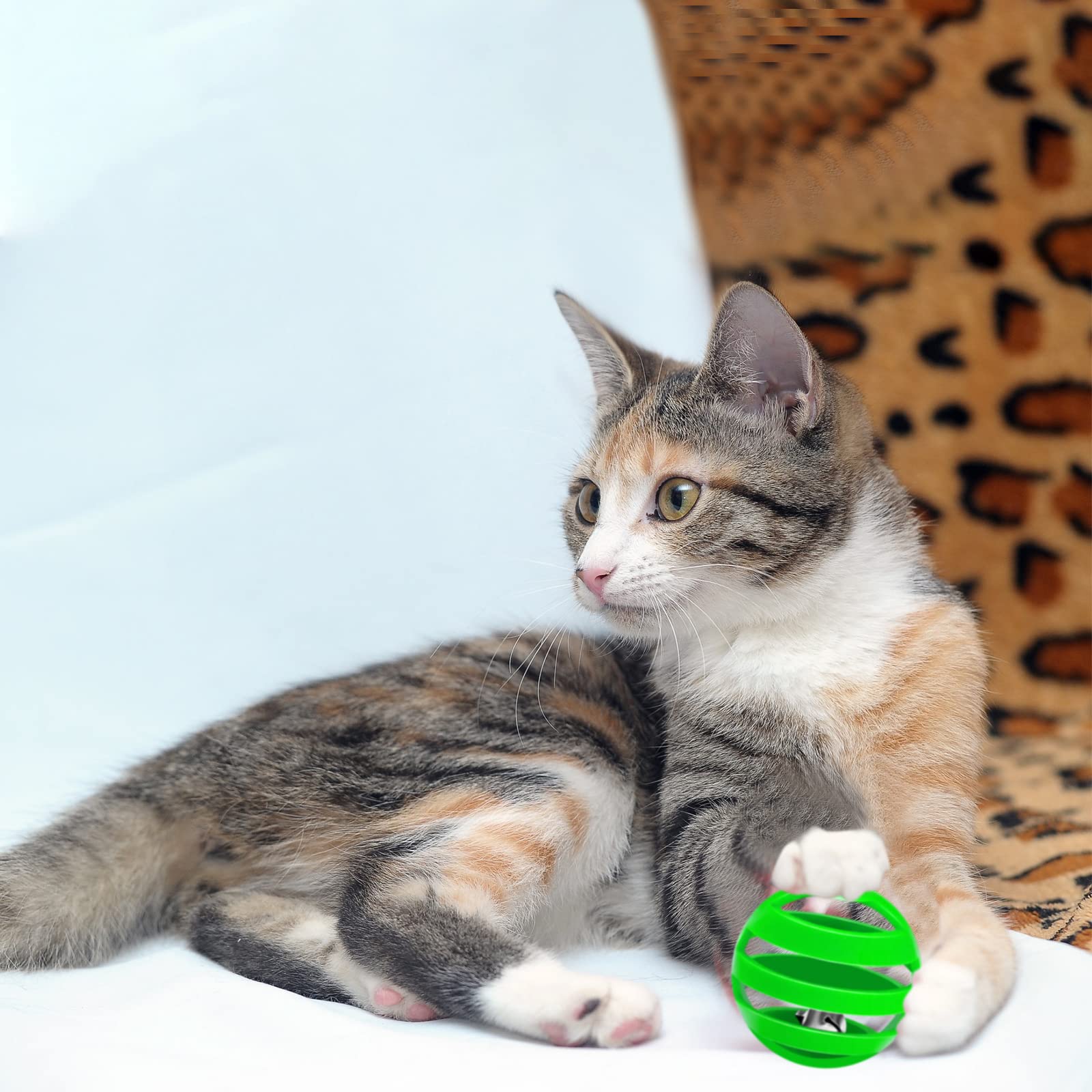 Kasyat colorful random colors keep cats engaged during play.