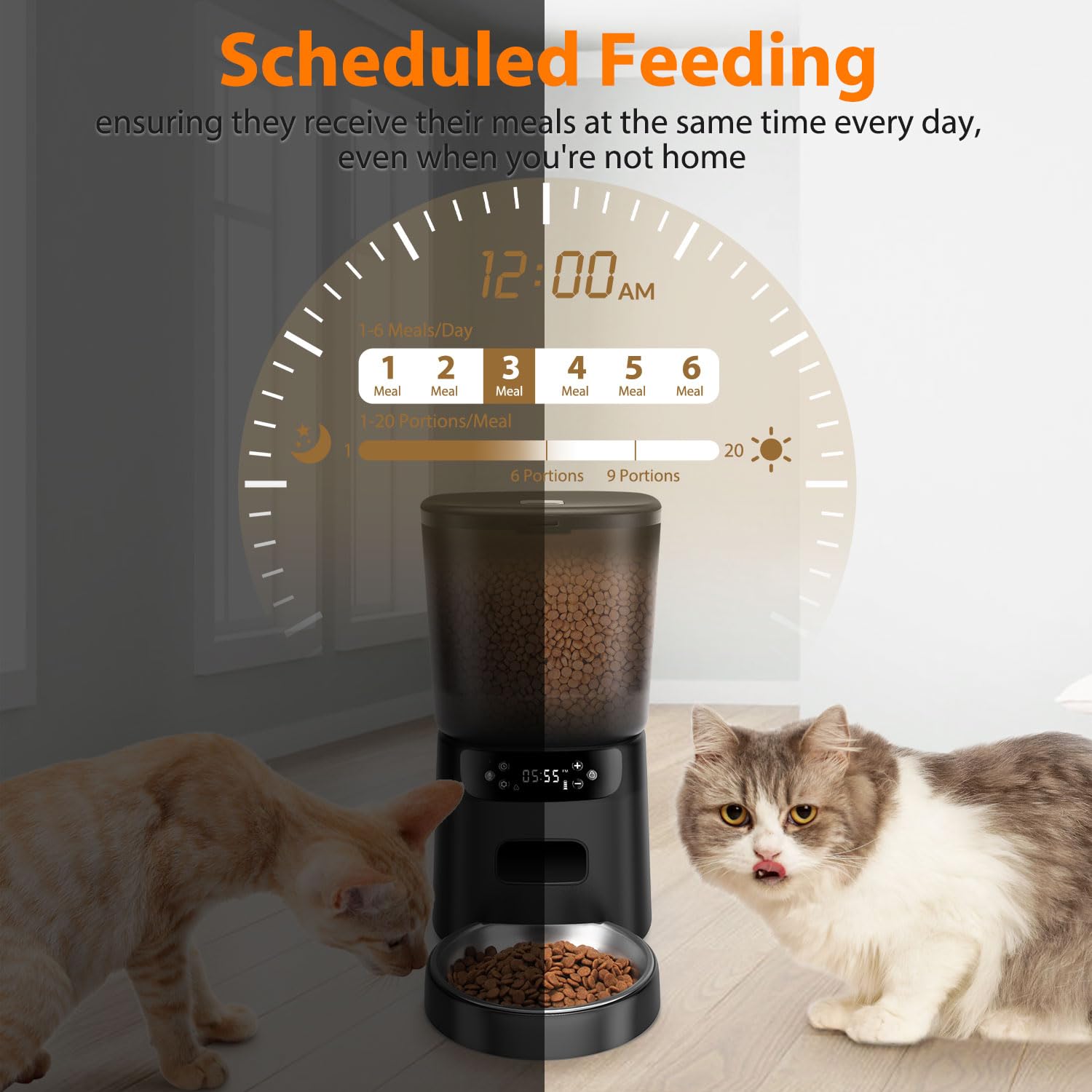 Katalic feeder bowl close-up reveals stainless steel, rust-resistant, easy-clean surface