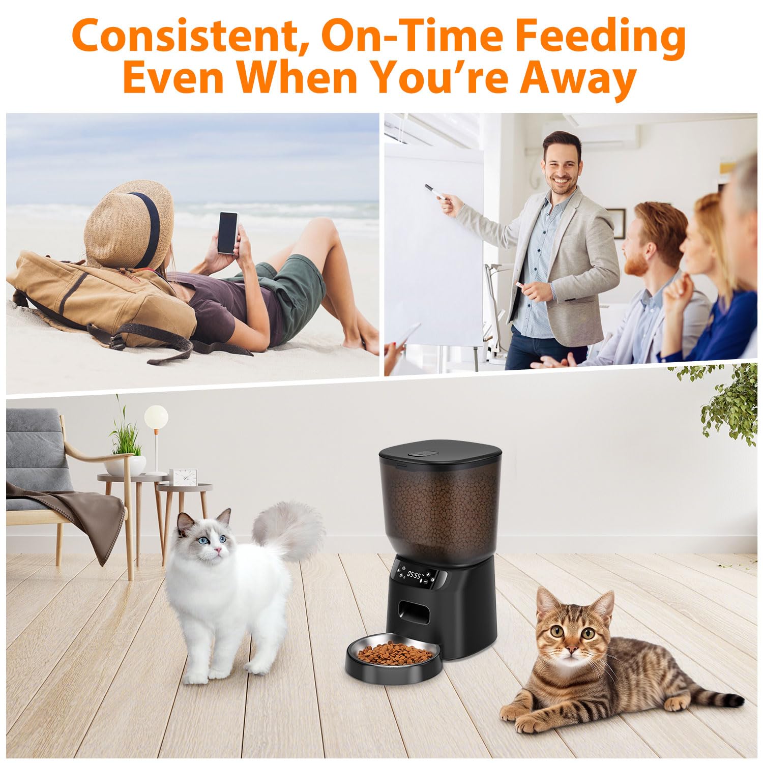 Katalic feeder easy disassembly for quick cleaning after meals
