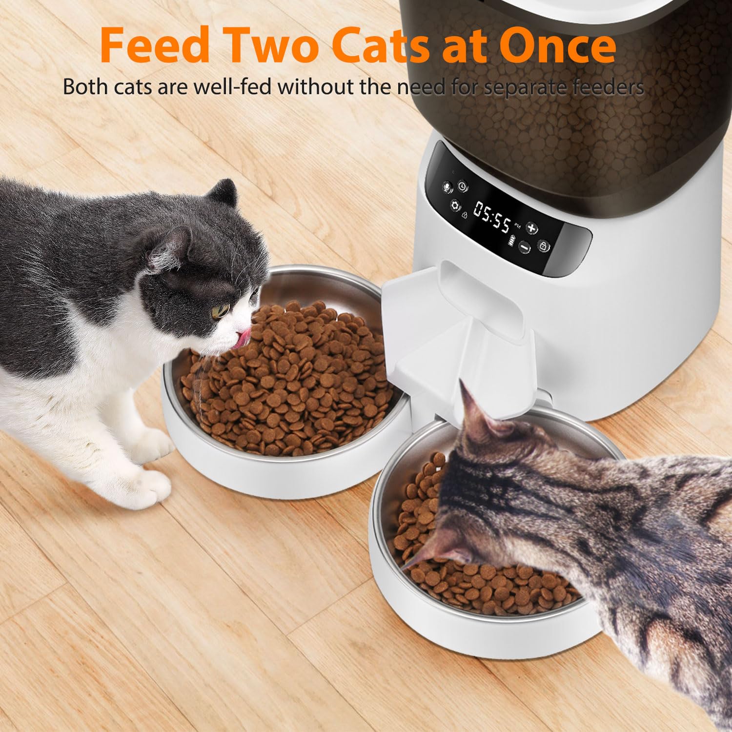 Katalic feeder dual bowls close-up showing meal divider for conflict-free meals