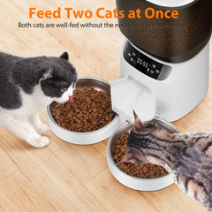 Katalic feeder dual bowls close-up showing meal divider for conflict-free meals