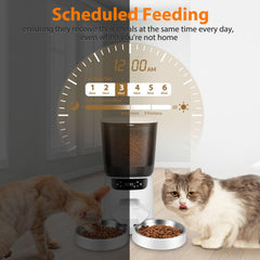 Katalic automatic cat feeder large capacity storage with transparent hopper for easy monitoring