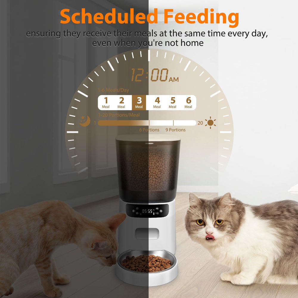 Katalic Automatic Cat Feeder stainless bowl close-up highlighting durable, easy-to-clean feeding.
