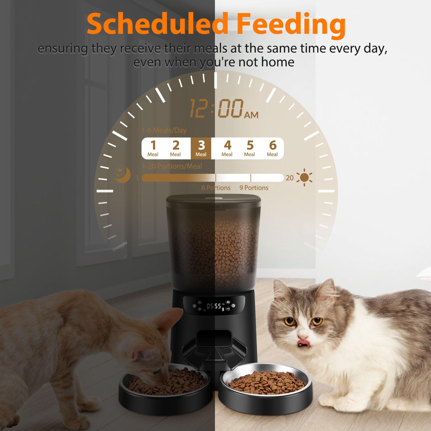 Katalic timer setup delivers up to six meals per day.