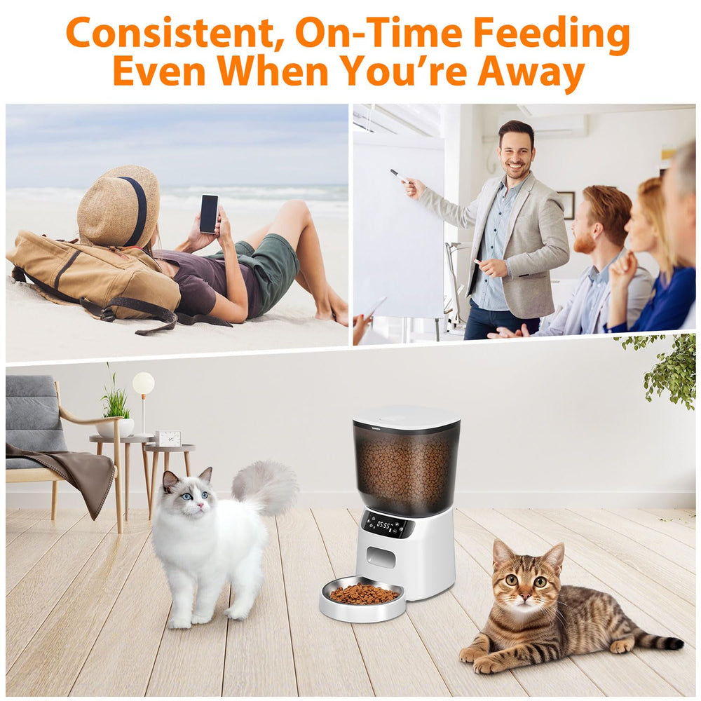 Katalic feeder anti-clog design ensures smooth food flow.