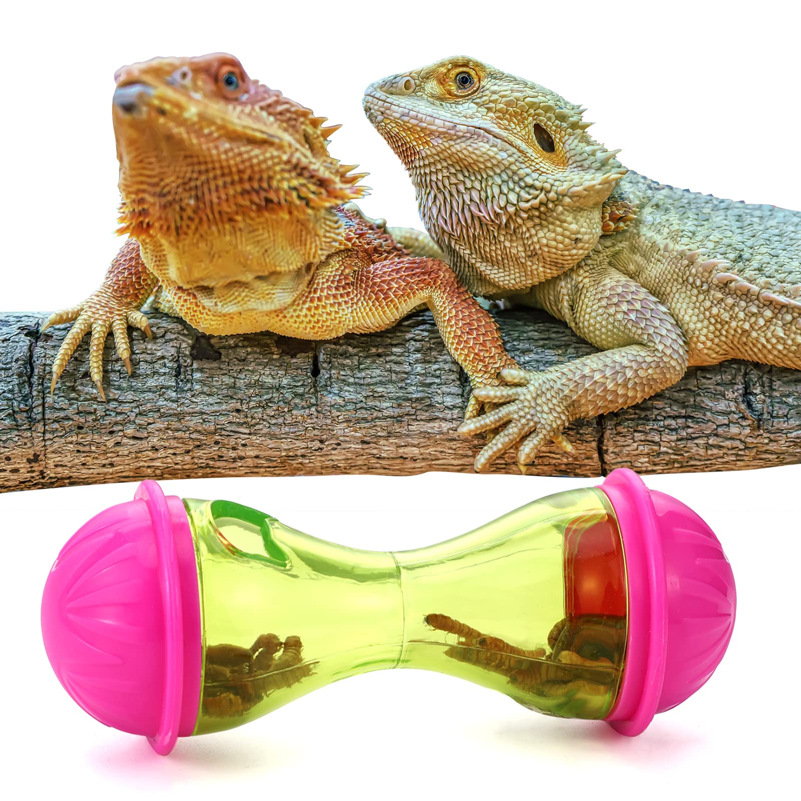 Kathfly bearded dragon decorative toy, doubles as tank decor while engaging pets.