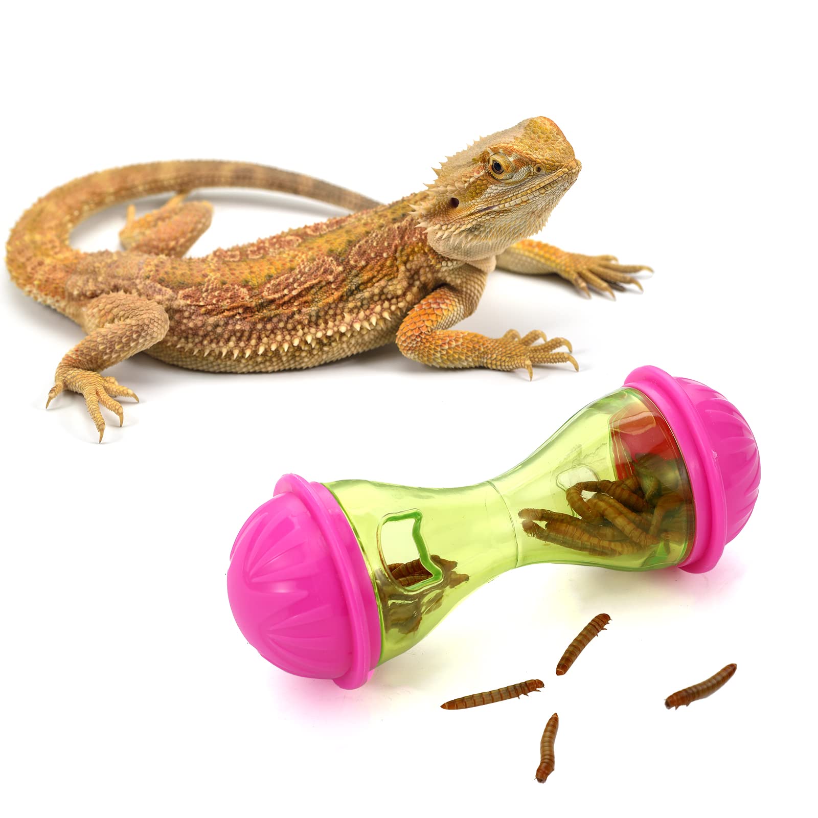 Kathfly bearded dragon interactive toy, encourages pushing and movement during play.