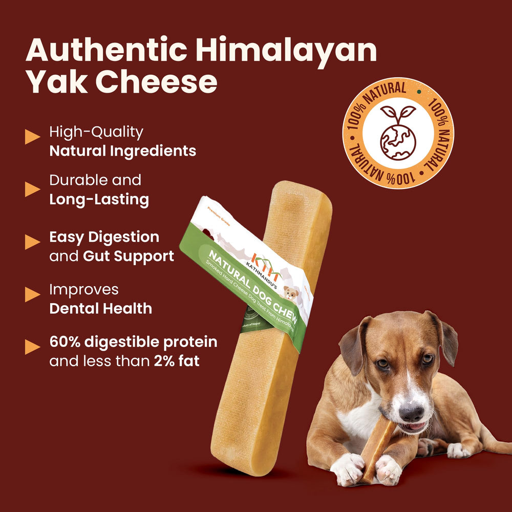 KATHMANDU'S long-lasting chew action demonstrated during play