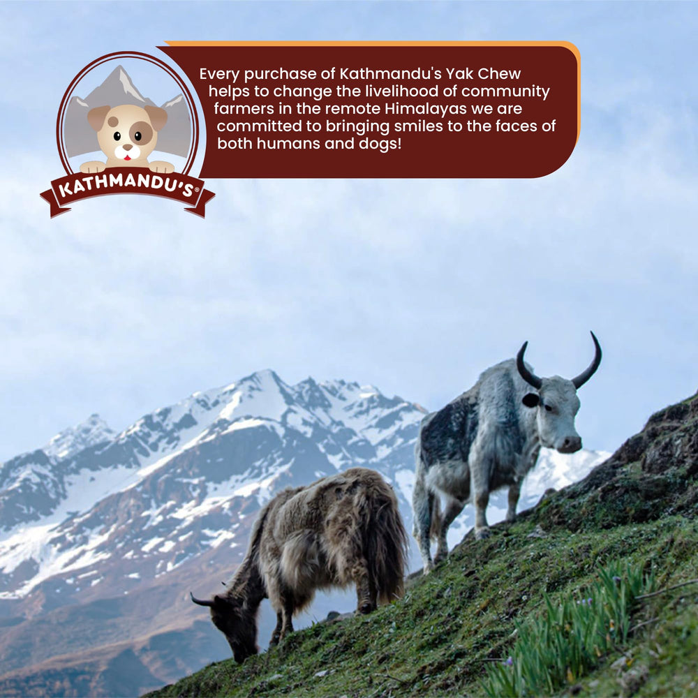 KATHMANDU'S satisfaction guarantee badge symbolizing quality