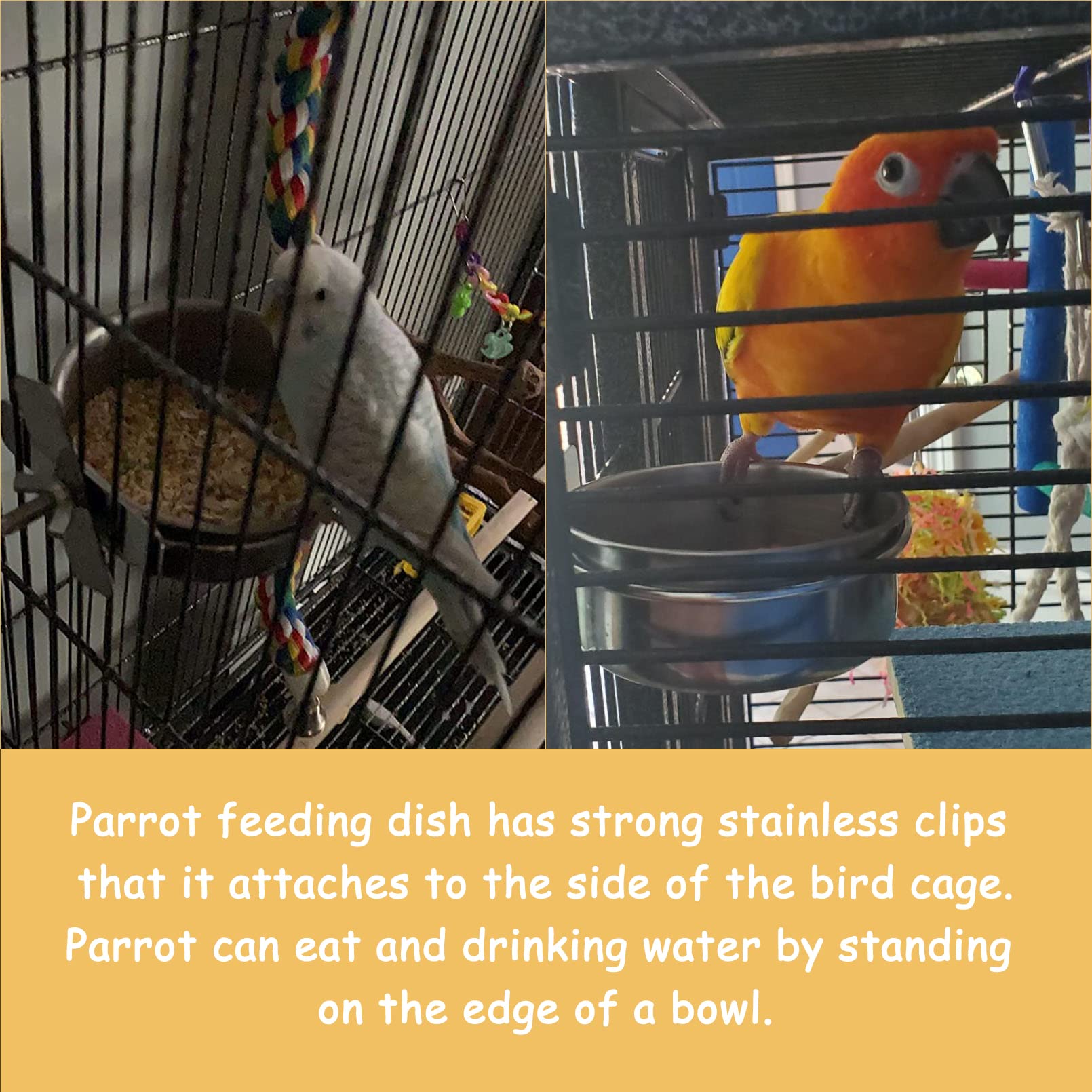 Kathson 10 cm bowls provide easy access to food and water for small parrots.