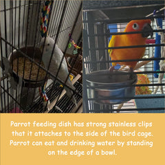 Kathson 10 cm bowls provide easy access to food and water for small parrots.