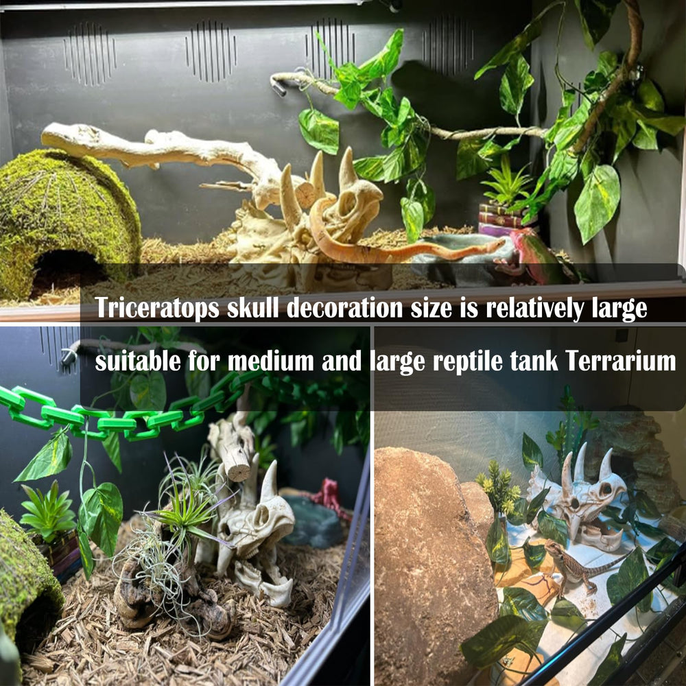 Kathson 3-piece reptile decor set for stylish tanks
