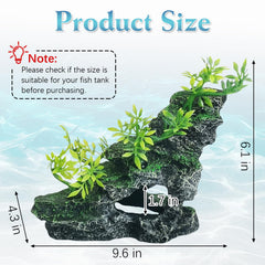 Kathson rockery landscape with moss enhances tank realism and color.