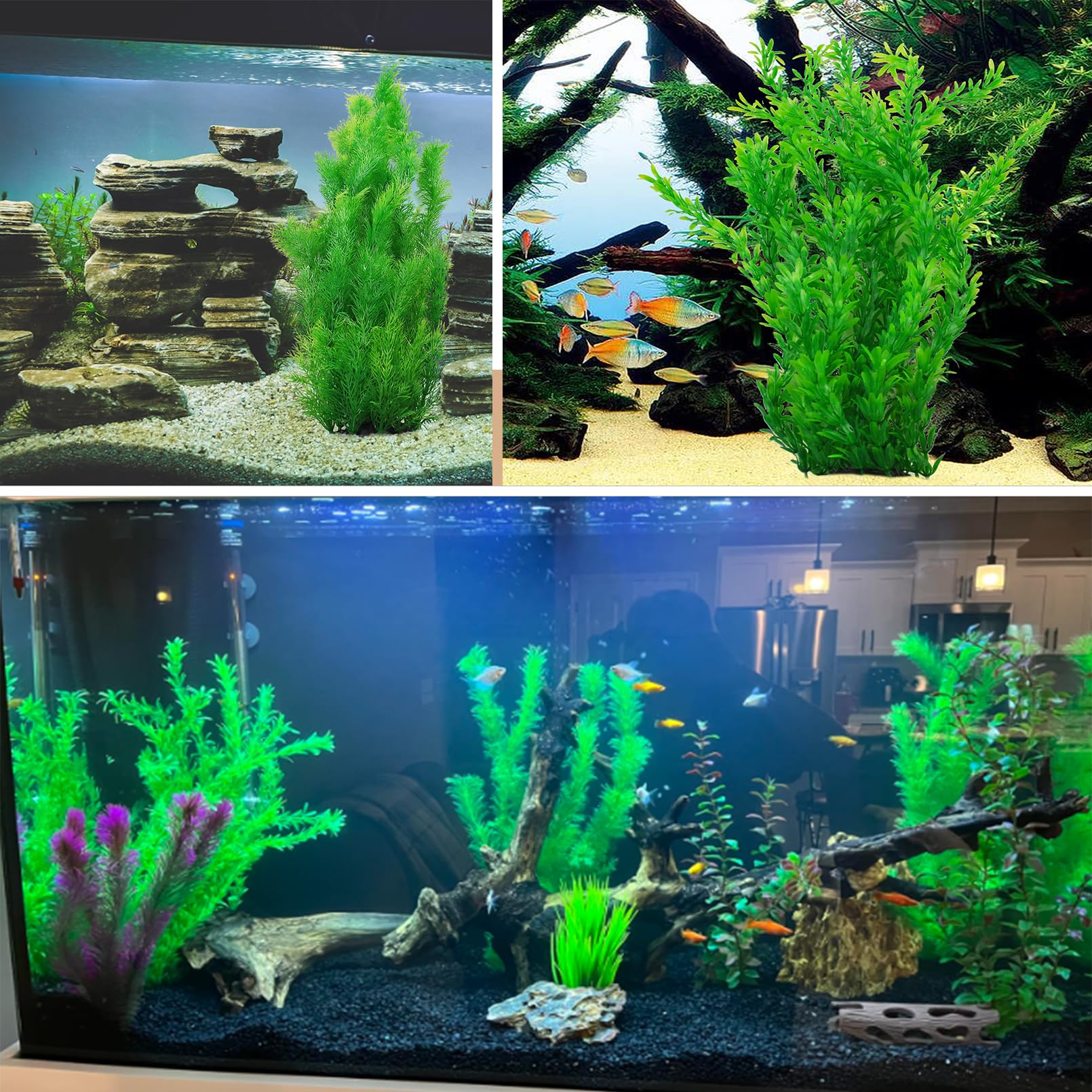 Kathson two-pack-setup demonstrates layered plant design for dynamic scenery.