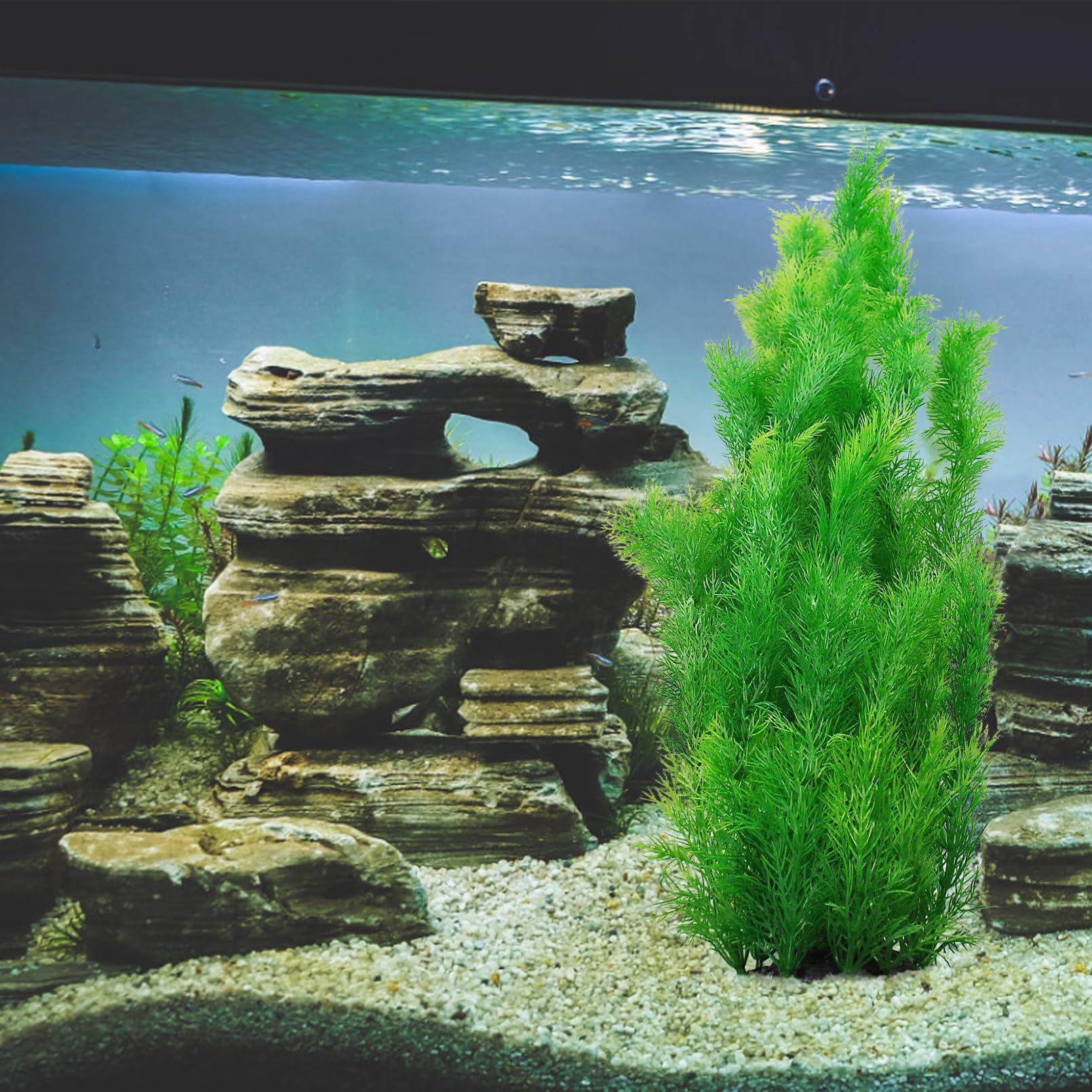 Kathson water-clarity-01 improves tank color without affecting water quality.