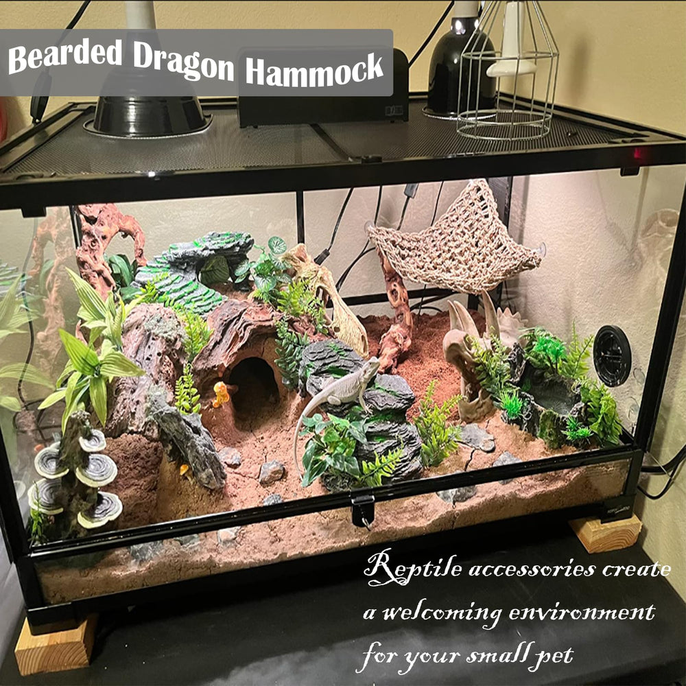 Kathson bearded dragon hammock setup shows cohesive tank decor and rest spots