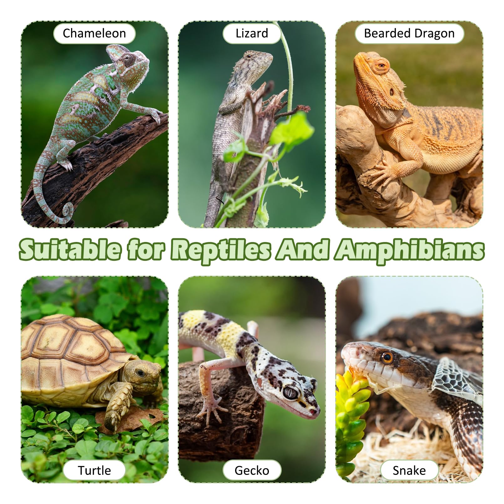 Kathson Bearded Dragon Tank Accessories Kit tank-substrate mat provides traction and easy maintenance.