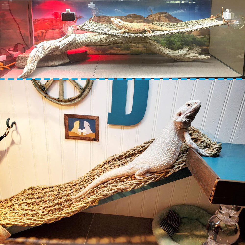 Kathson bearded dragon tank accessories offer enrichment and natural climbing options